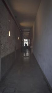 Intervista — Contenido para redes